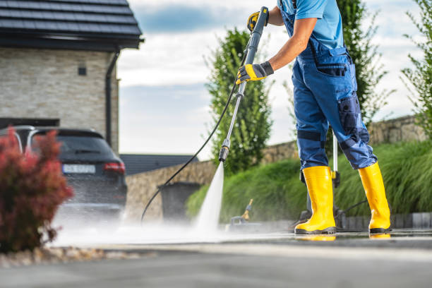 Animal Enclosure Cleaning in Fontana, CA